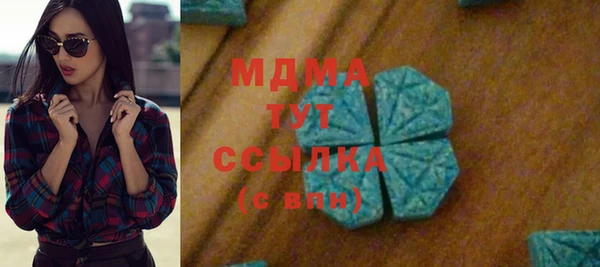 хмурый Арсеньев