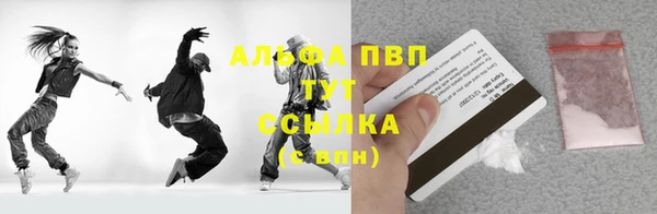 прущие грибы Армянск