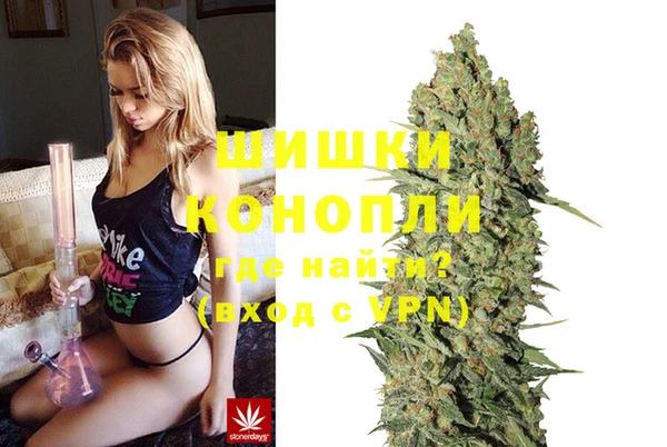 сатива Балабаново