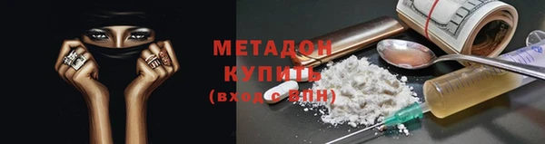 индика Аркадак