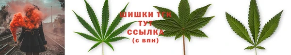 сатива Балабаново