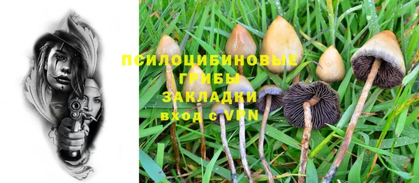 хмурый Арсеньев