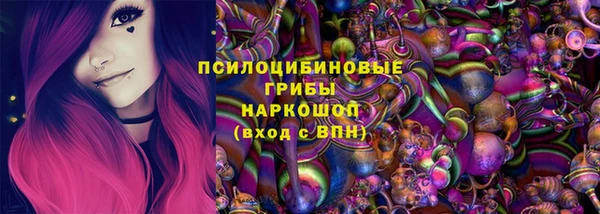 молекула духа Балахна