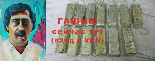 хмурый Арсеньев