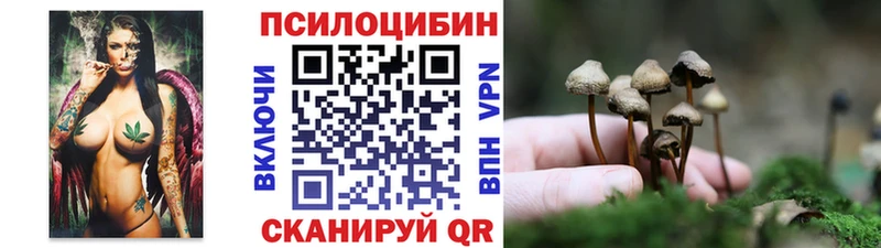 Псилоцибиновые грибы прущие грибы Георгиевск