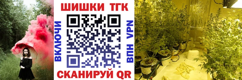 Канабис семена  где купить наркотик  Георгиевск 