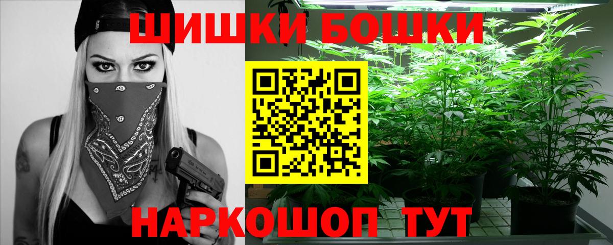 Бошки марихуана ГИДРОПОН Георгиевск
