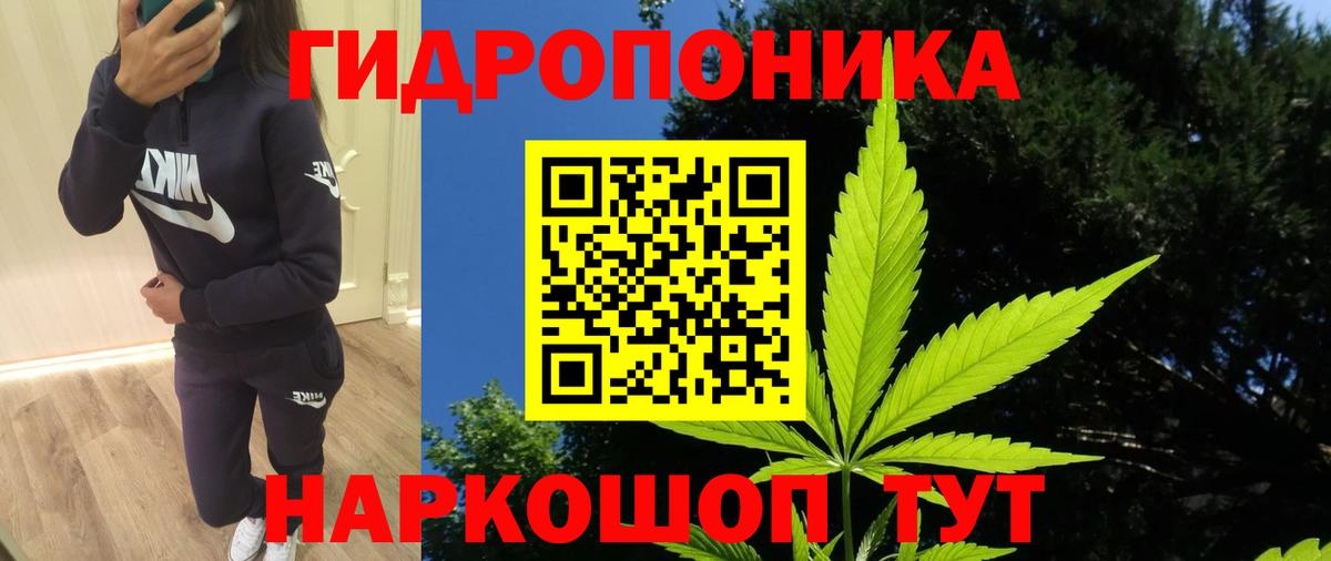Марихуана конопля  Каннабис план  Вход с VPN  Марихуана VHQ  Георгиевск 
